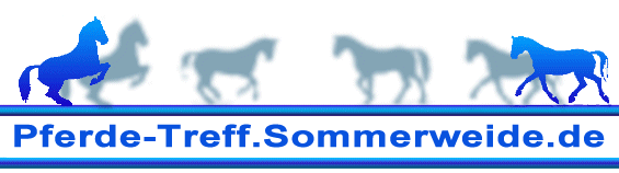 pferde-treff.sommerweide.de